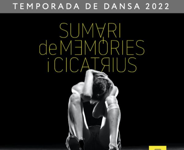 Sumari de memòries i cicatrius