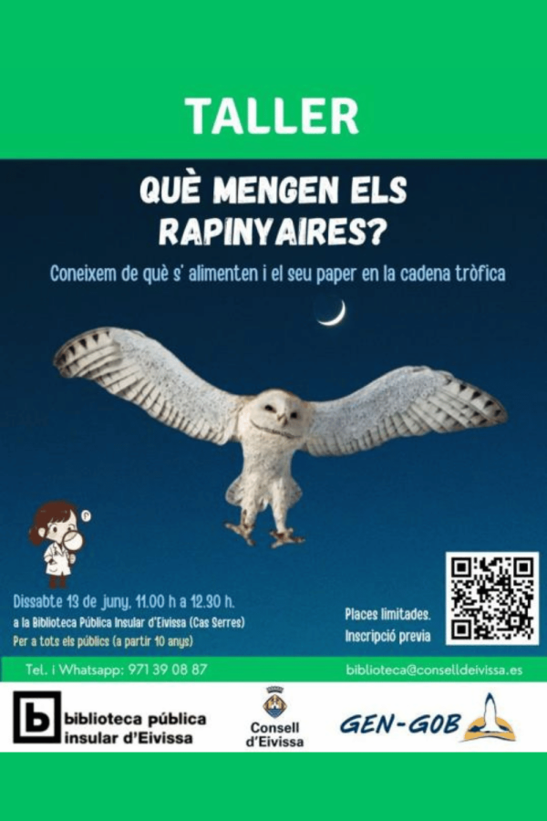 Taller: "Què mengen els rapinyaires?"