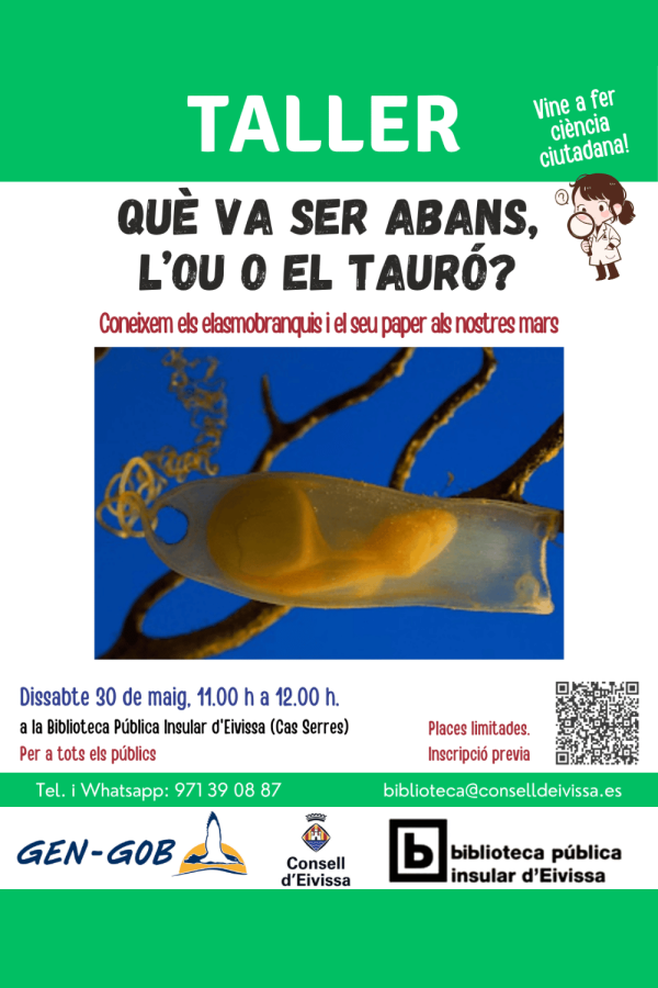 Taller: "Què va ser abans, l'ou o el tauró?"