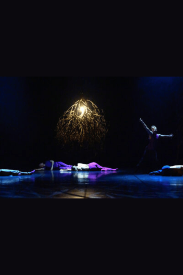 Danza: "Skin Deep y A thousand steps to silence"